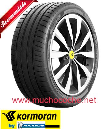 Kormoran Summer 3
